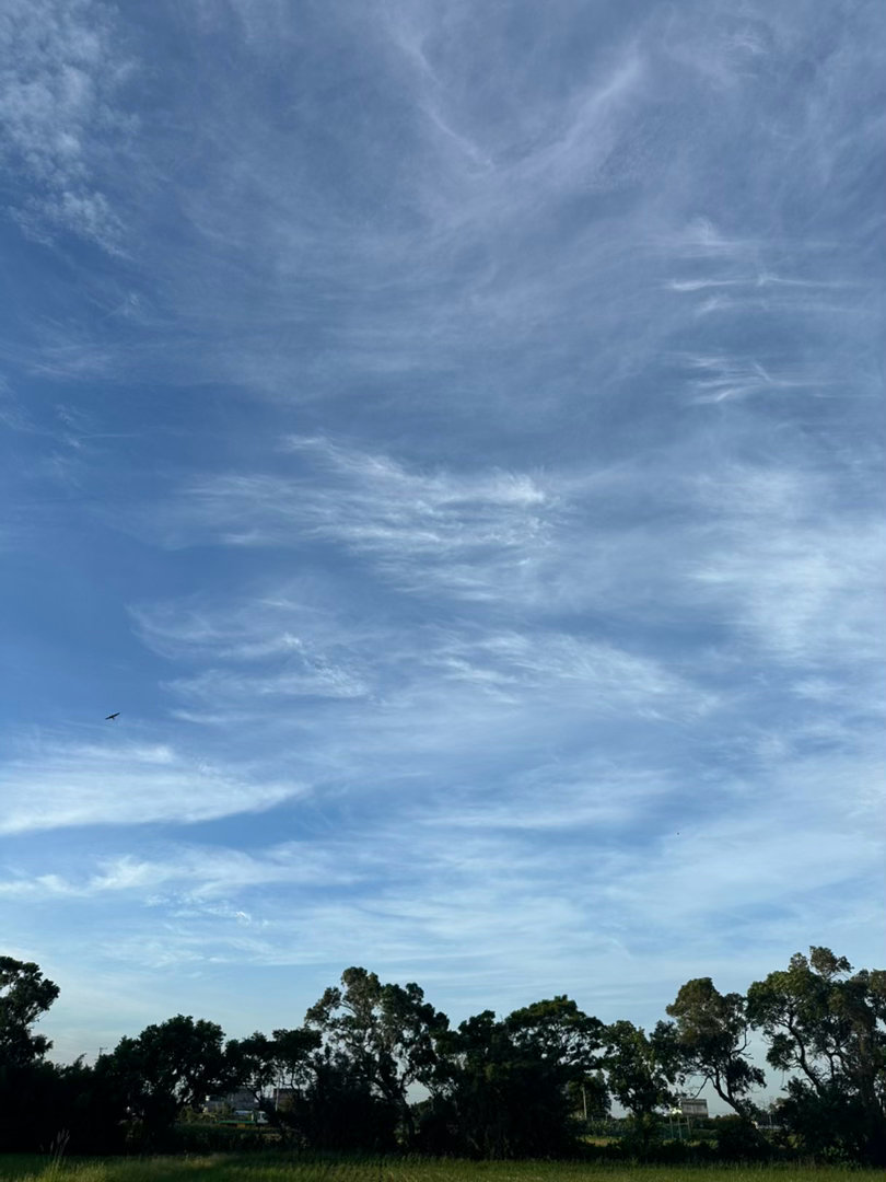 糟心事太多，還是抬頭看看天空，深呼吸，讓濁氣排出吧。 