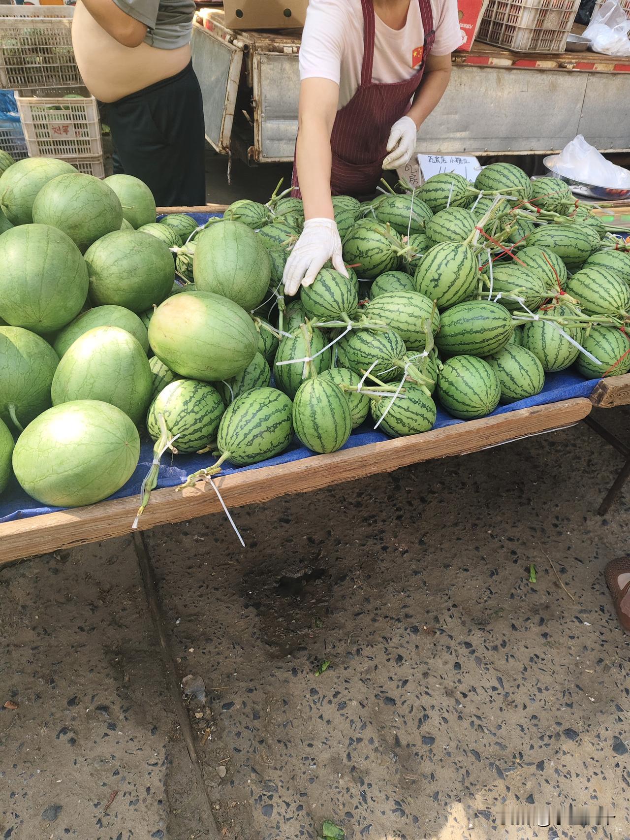 这种小西瓜都这么便宜了，就是有些太袖珍了，不过特别适合想吃还吃不多的，毕竟西瓜这