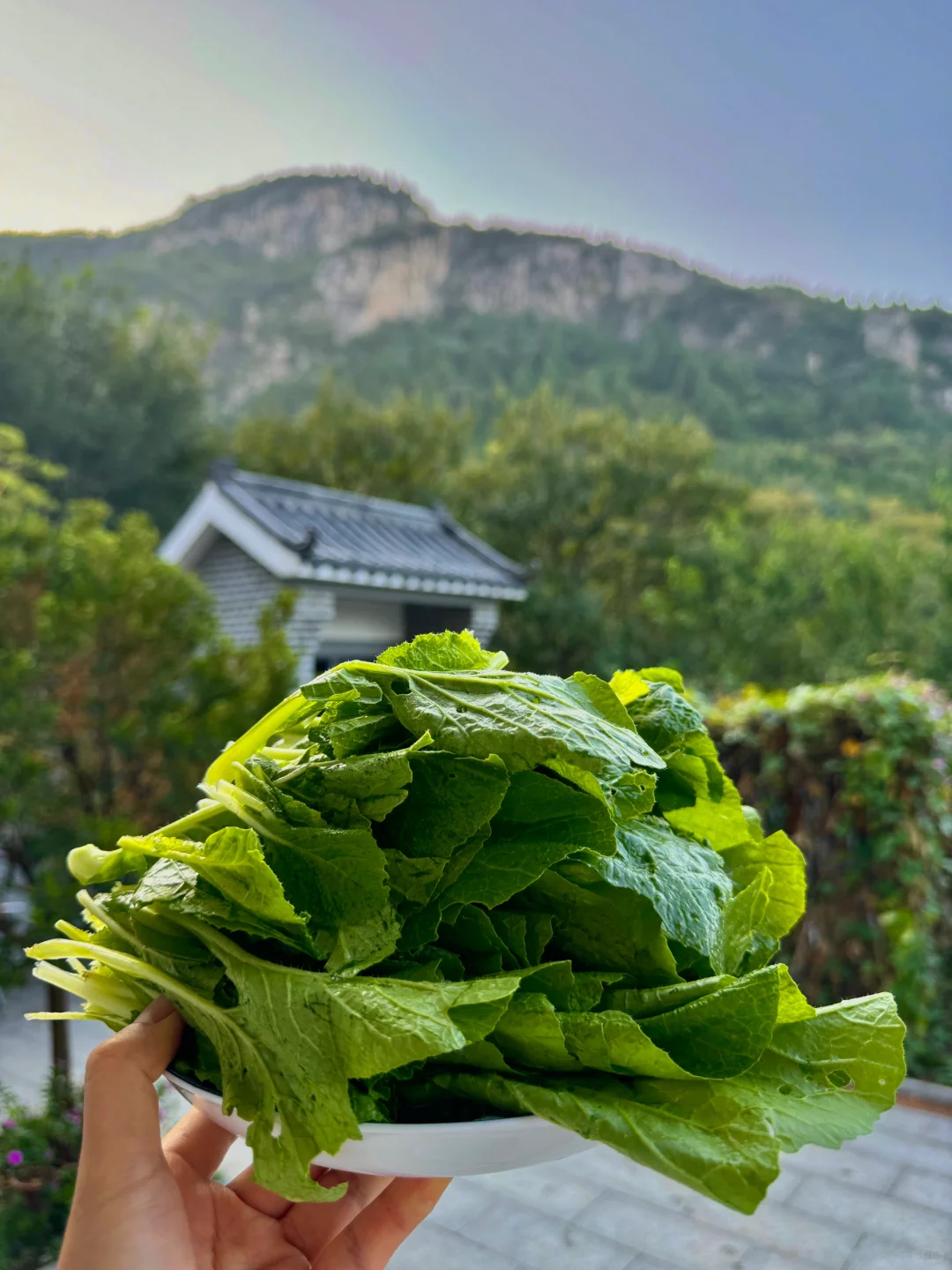 黄帝内经：女子在家静养是“大补”🌾秋养tips…