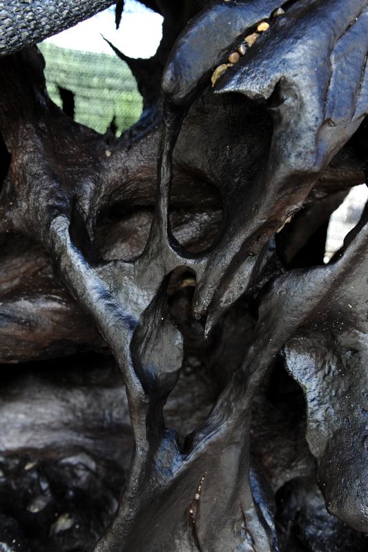 乌木在市场上价值可不低。它有“东方神木”的美称，是珍贵木材。
乌木的价值受多种因