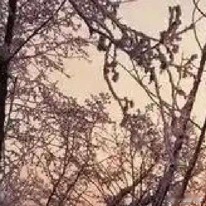 很喜欢杨绛说的一句话：这个世上没有不带伤的人，无论什么时候，你都要相信，真正能治