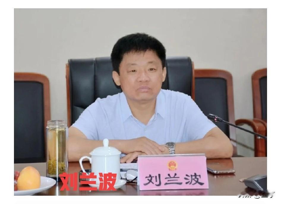 十五五开局反腐零死角！山东临邑人大副主任刘兰波被查，曾获“改革尖兵”也遭诫勉问责