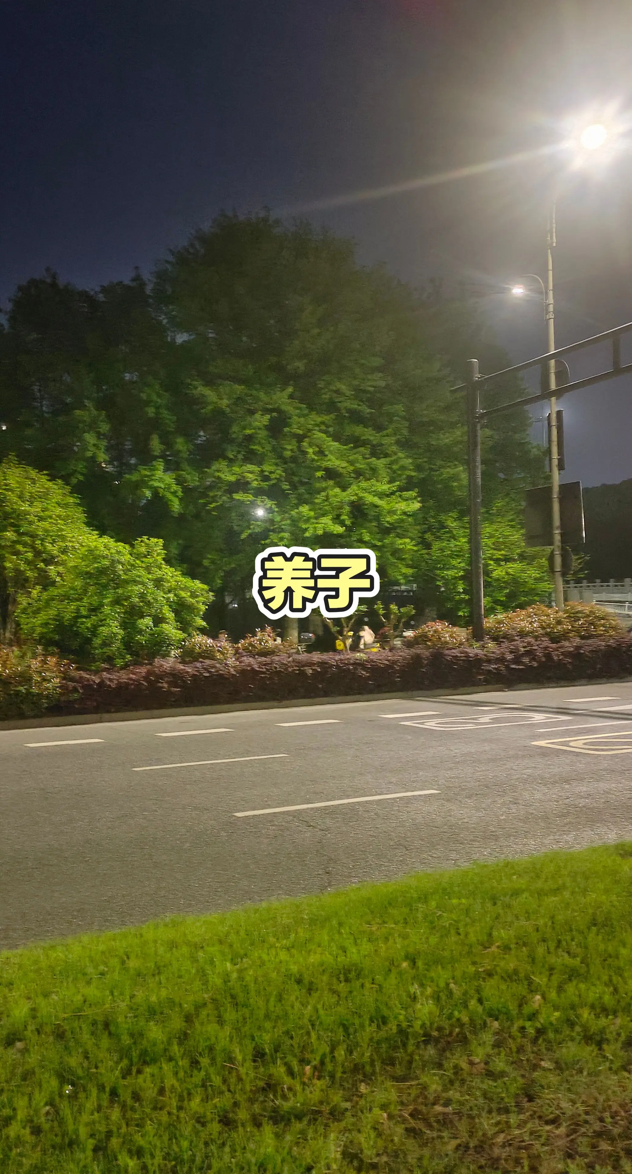 路灯与道路
