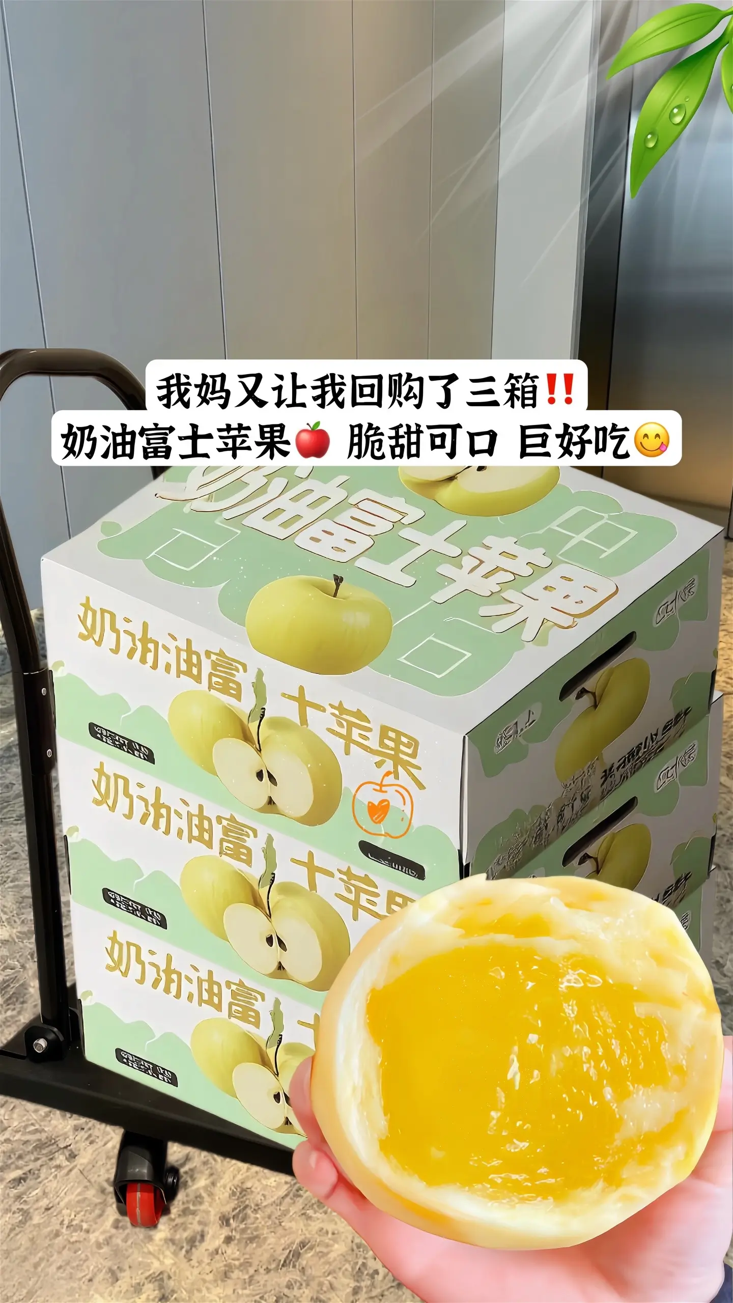 山东朋友推荐的这个奶油苹果！真的太美味啦！好脆甜啊！ 黄金奶油富士苹果...