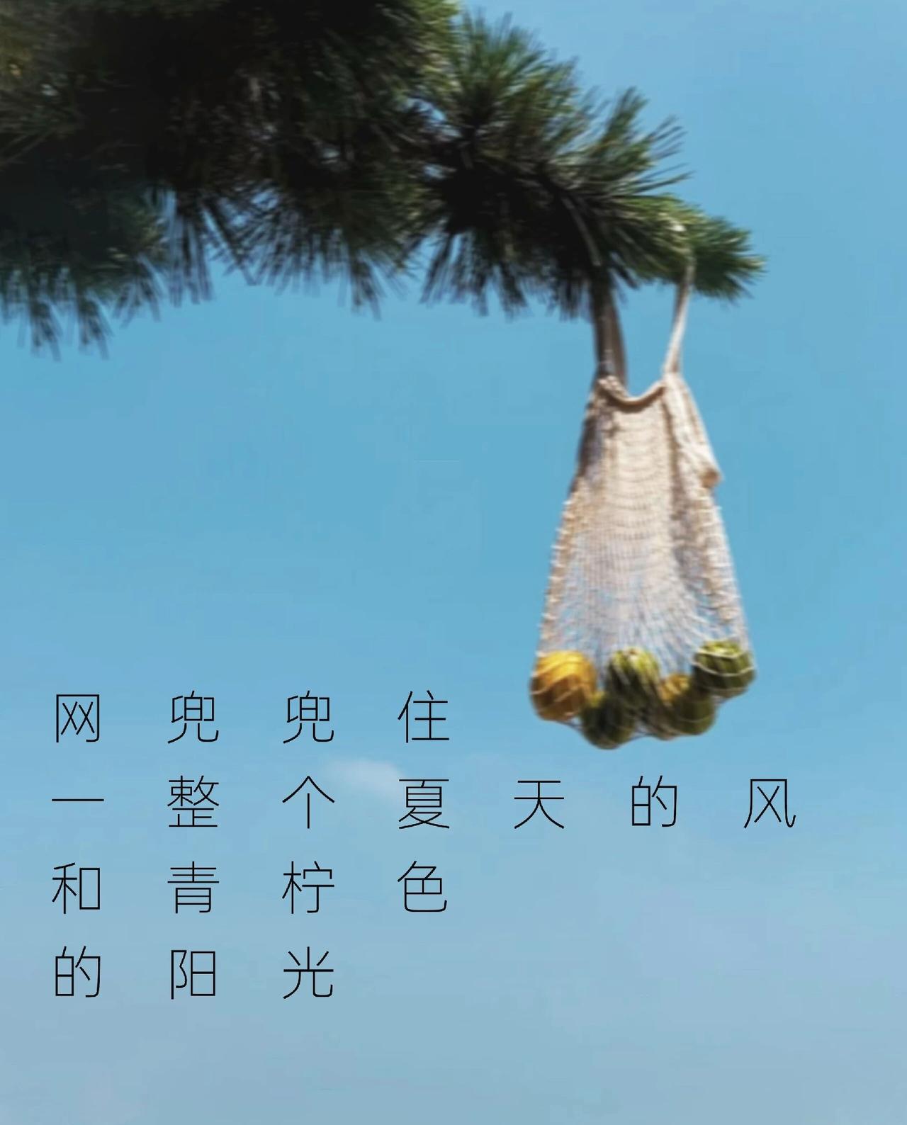 日子过得真快，尤其对于中年以后的人，十年八年都好像是指顾间的事。
       