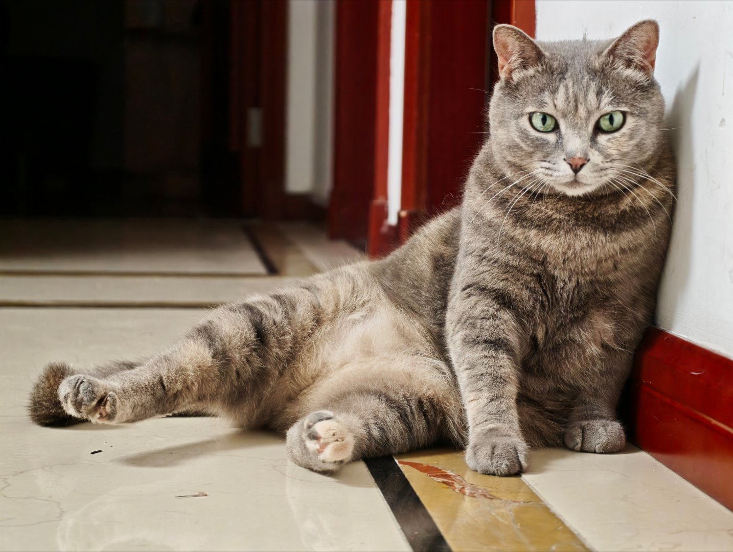 人开始变老的表现1.不在意性能了，感觉游戏能跑就是赢2.越来越少玩电脑，开着电脑