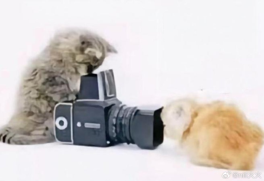 第一排长枪短炮，全部怼着赞咪 电视剧品质盛典  xz 肖战 蝴蝶结