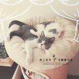 春花爱玩科技