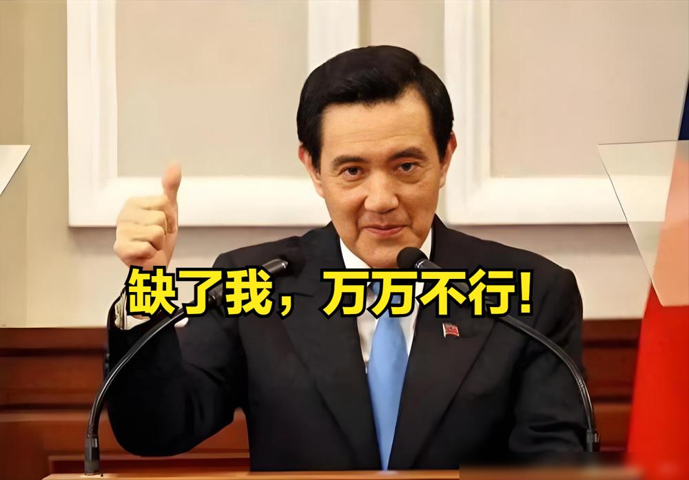 总算有个明白人，知道很大概率没有2028年台伪省长选举了。

其实这个国民党，还