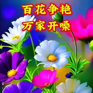 巷尾逗趣说书喵