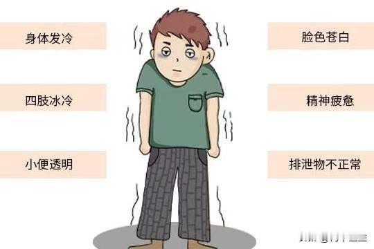 不敢吃凉的，这可能是体内虚寒，阳气不足了！

有的人平时很注意保暖，寒凉的水果啥