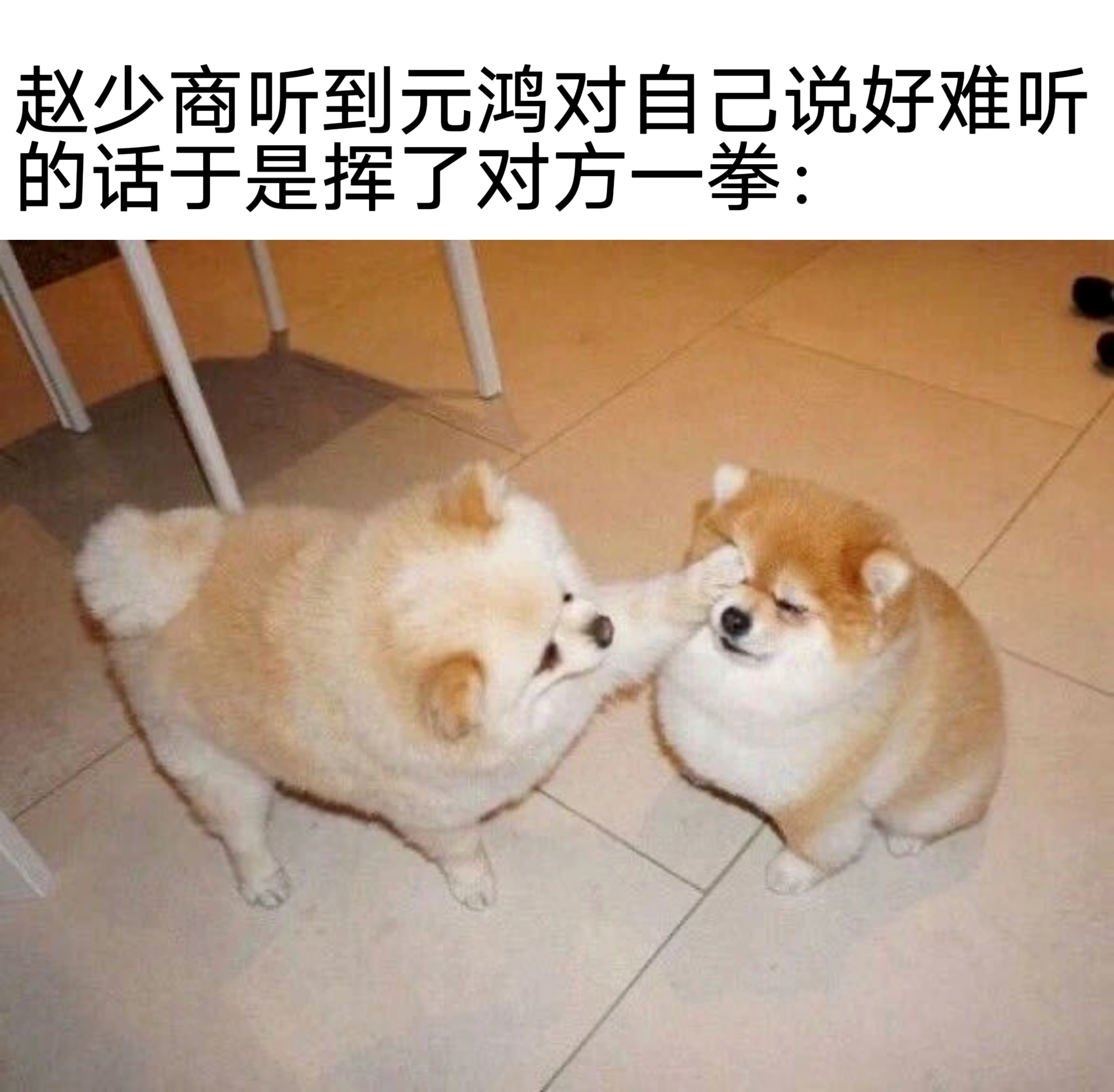 一些小狗奇探的幻视瞬间： 