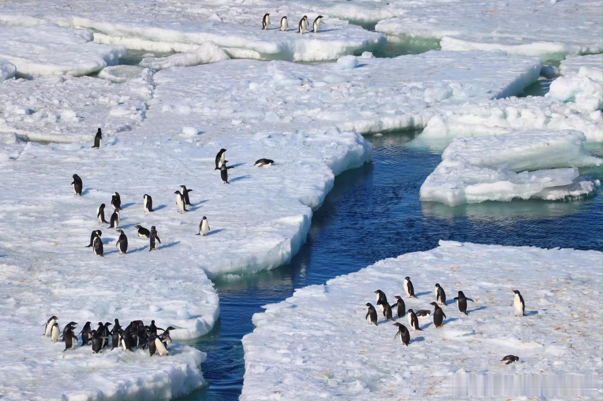 国产挖掘机成南极科考得力干将狂风差点把人吹跑，但挖掘机的抓地力和稳定性超强，照常