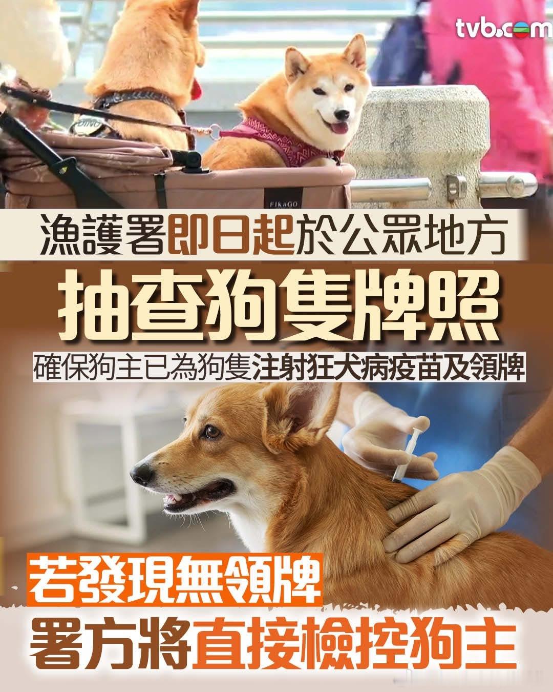 諸葛臥龍反忽小隊