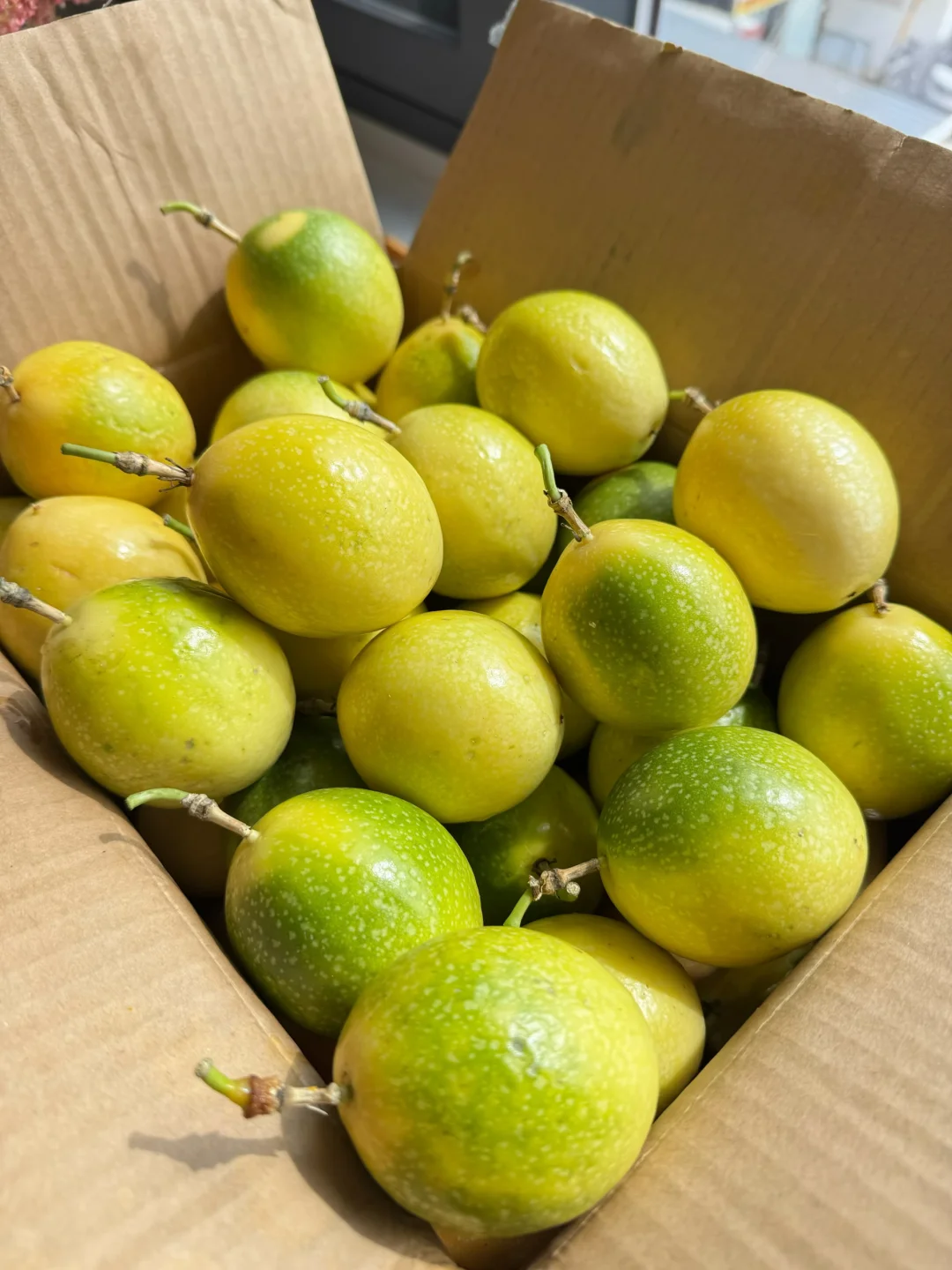 平台补贴只要7米一箱，错过了就是损失