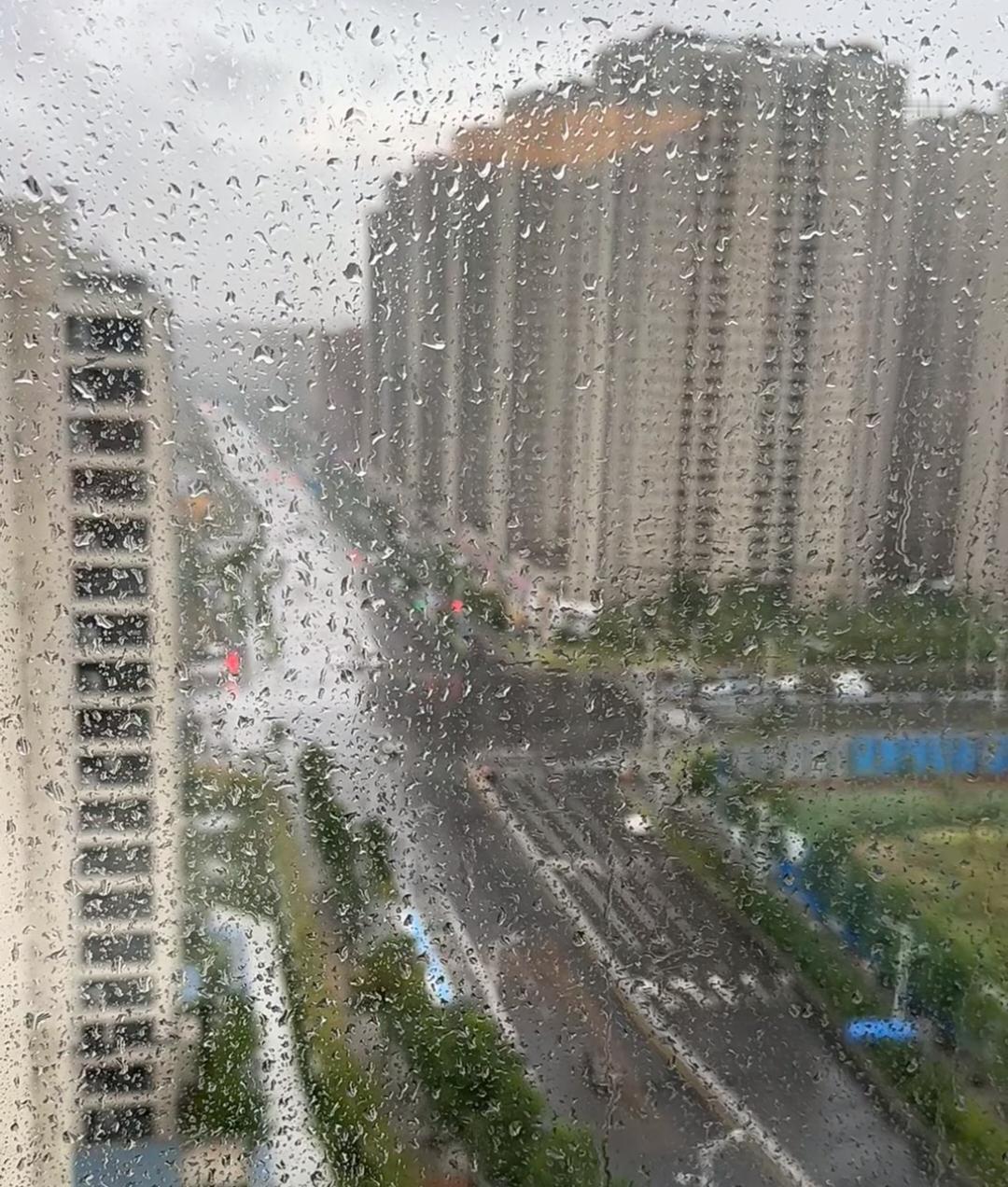 以前总以为
失去了那个为你撑伞的人
你会被淋成落汤鸡

其实慢慢的你就会发现
你