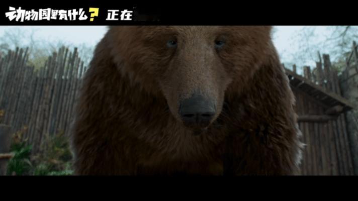 #贾冰新片掌掴真熊有点虎啊#我真的不允许还有人不知道贾冰新剧里打的居然是真熊，真