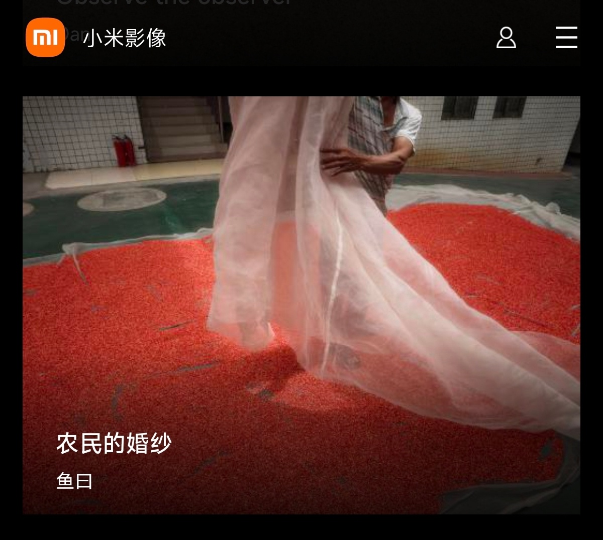 小米影像大赛里高手如云，随便一刷就刷到了一个神作