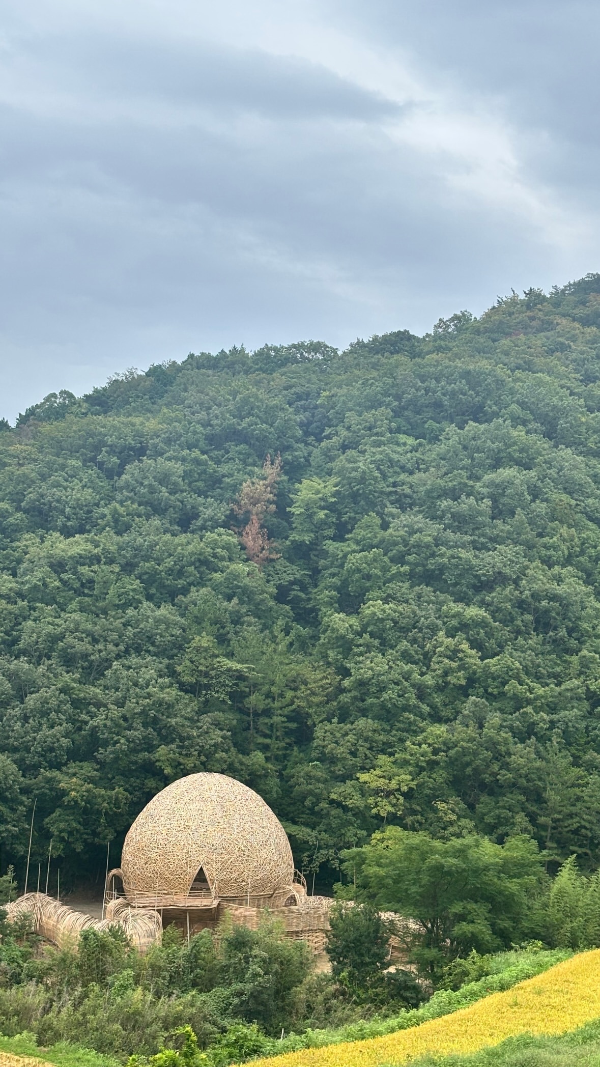 新内眞衣 ​​​