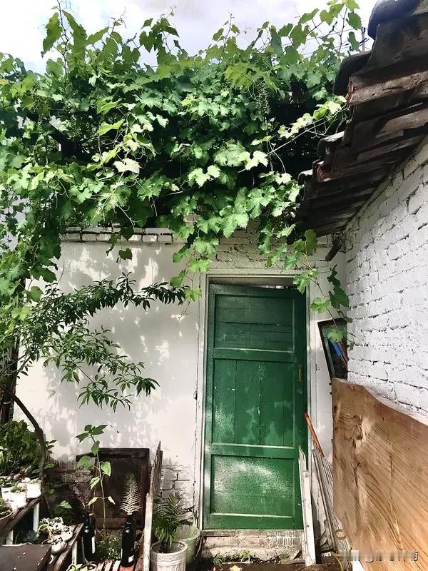 一进四月停了暖，婆婆便有些受不住。她因脑梗半身不遂，格外怕冷，总说楼上又高又冷，