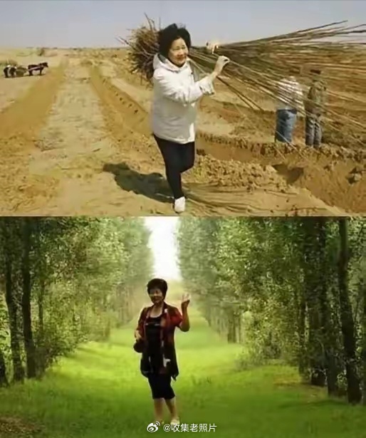 她叫易解放，20年种树1000万棵。用BBC的话说，她强迫1000万棵树活着。