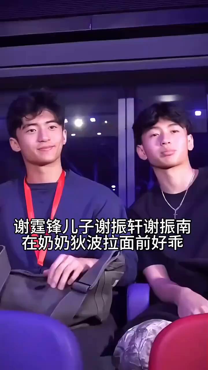 谢霆锋儿子谢振轩、谢振南在奶奶狄波拉面前好乖。