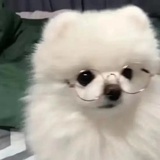 小春热看军事