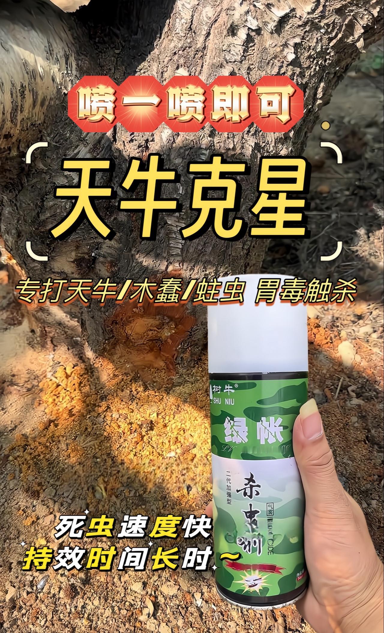 果树天牛要注意,啃食树干内部和树体内部，长时间枝干断裂！天牛克星绿帐，死虫更快清