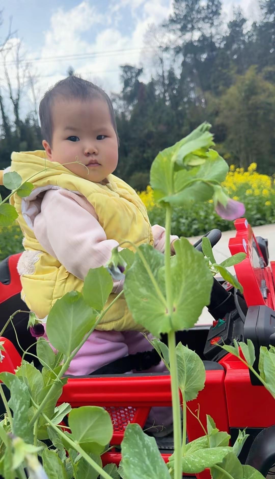 育儿补贴新政策 育儿补贴 人民好领导