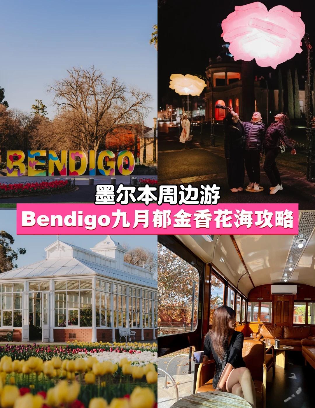 墨尔本周边游：Bendigo郁金香花超详细攻略🌷
基本每年都会去Bendigo