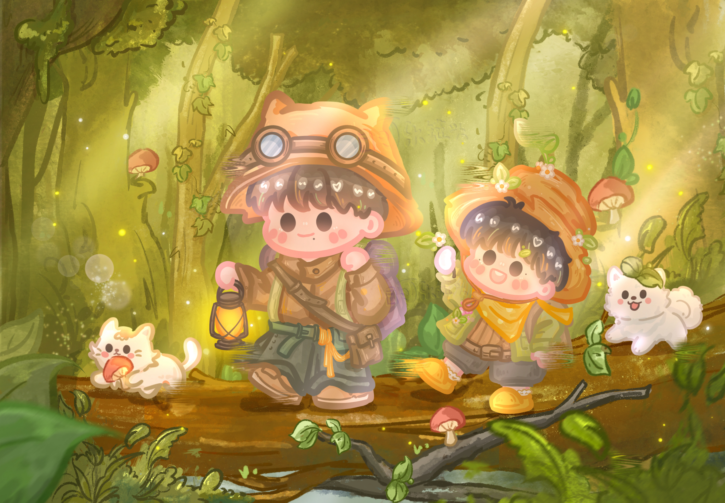 壁纸主题 Top widgets 