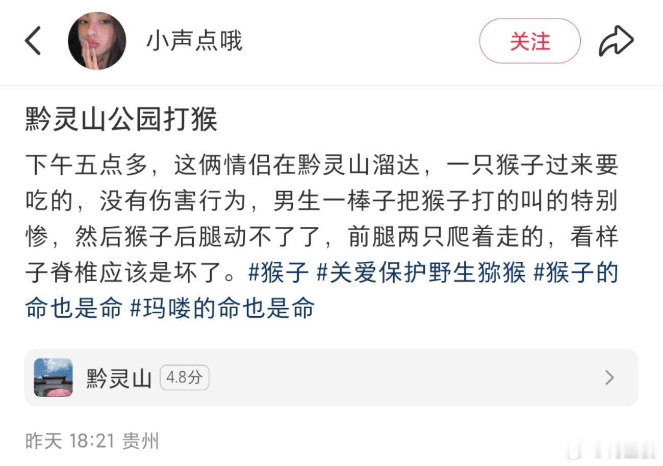 -“黔灵山公园打猴”加热度！！希望园方和有关部门可以关注一下，救救小猴子，严惩打
