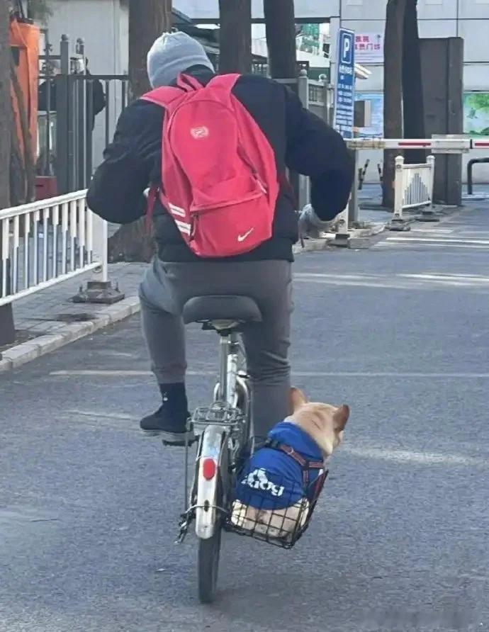 左边不装个东西平衡一下吗