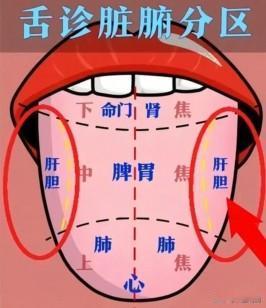 💥舌尖暗藏心脏 “密码”！4 种舌象自测心功能，对症调理超简单👇


🔍舌