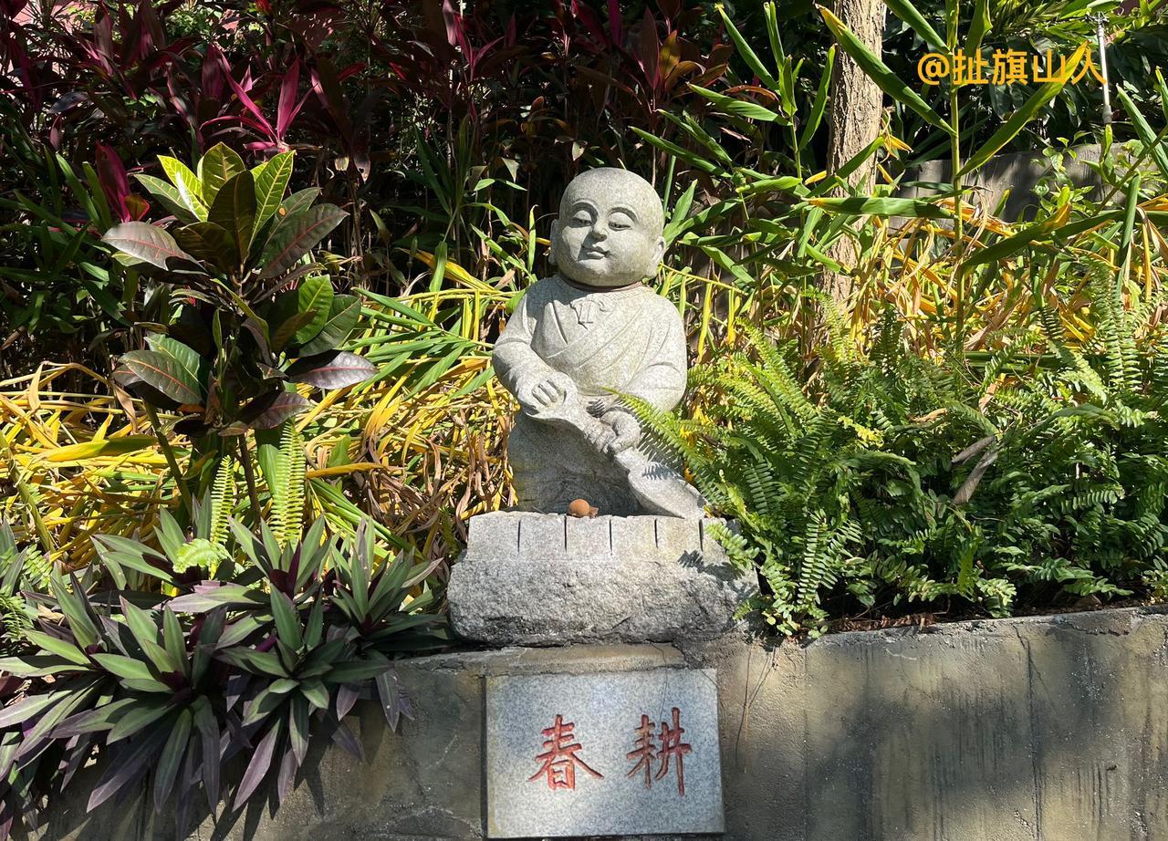 广东省东莞市观音山上的小沙弥祈福一年四季好光景……
2025年11月，我用手机摄