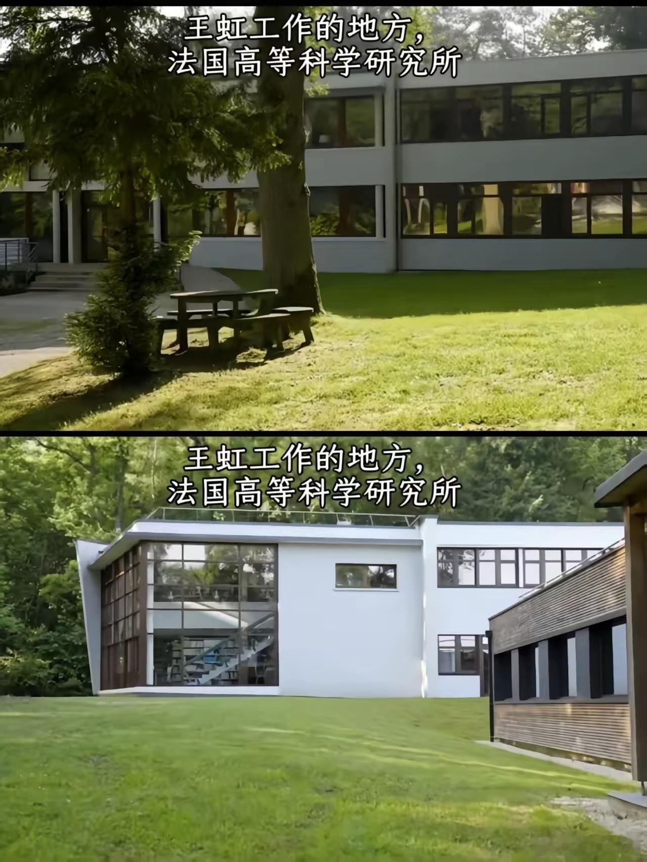 看了王虹在法国的工作环境，我彻底破防了，有25亩的森林公园就算了，还没有考勤、授