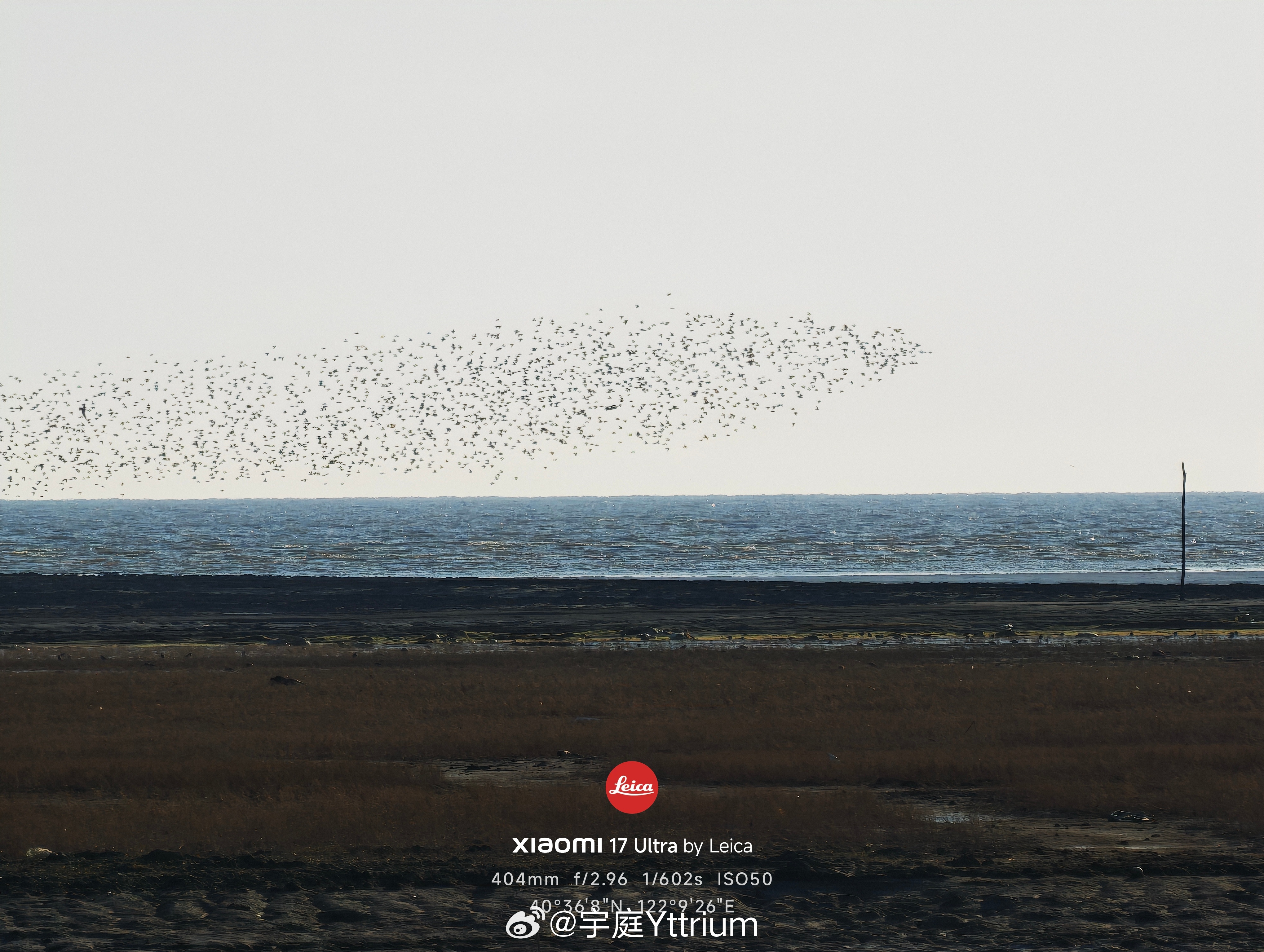 人生真是寂寞如鸟啊 营口·营口鸟浪广场