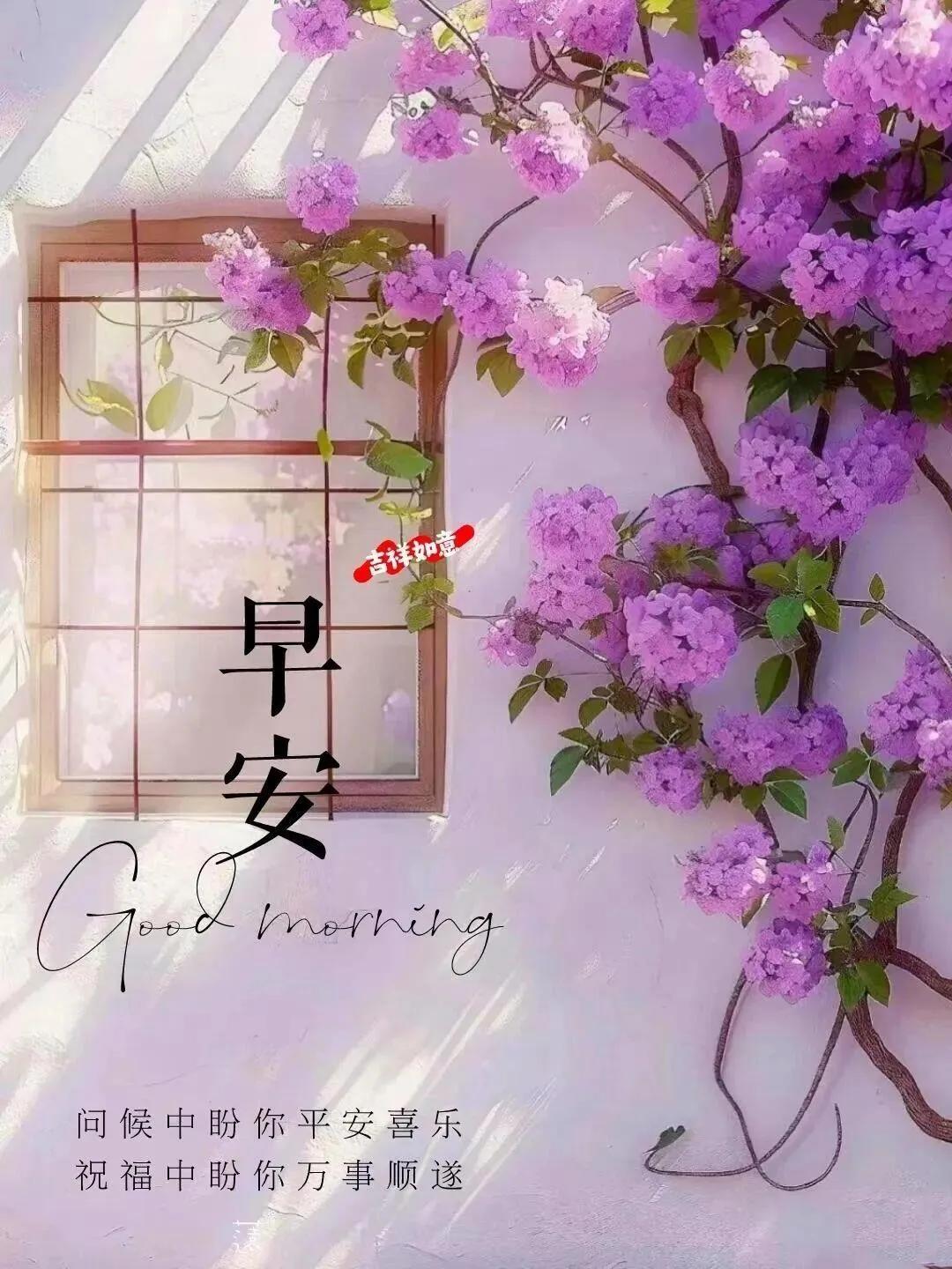 和公交来一个亲密的接触-野菜太贵了。

  我是个六零后，现在退休在家，每天闲着