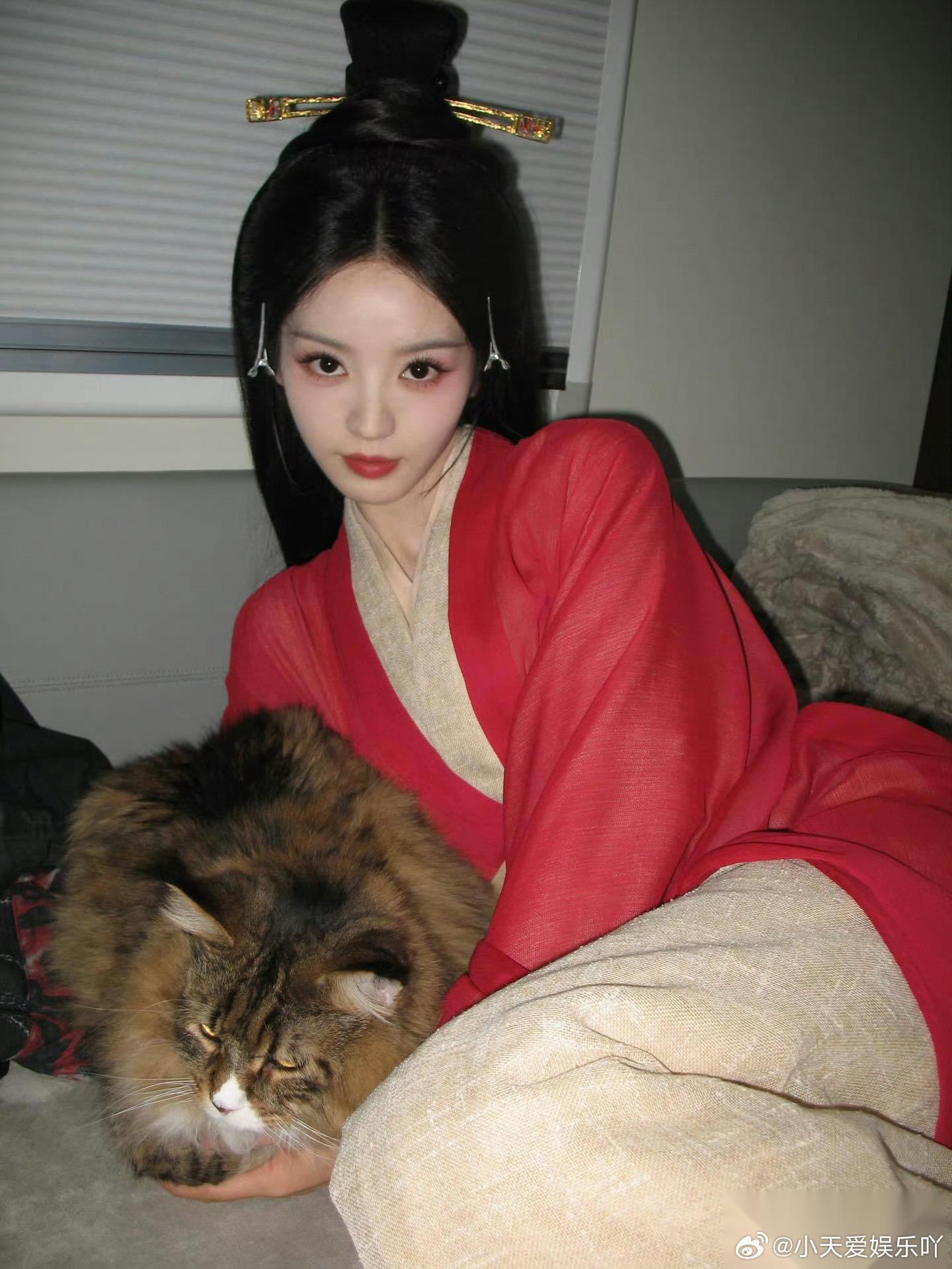 男明星翻车往往是违法违规违道德，女明星“翻车”就经常是一些鸡毛蒜皮的事情，近两年