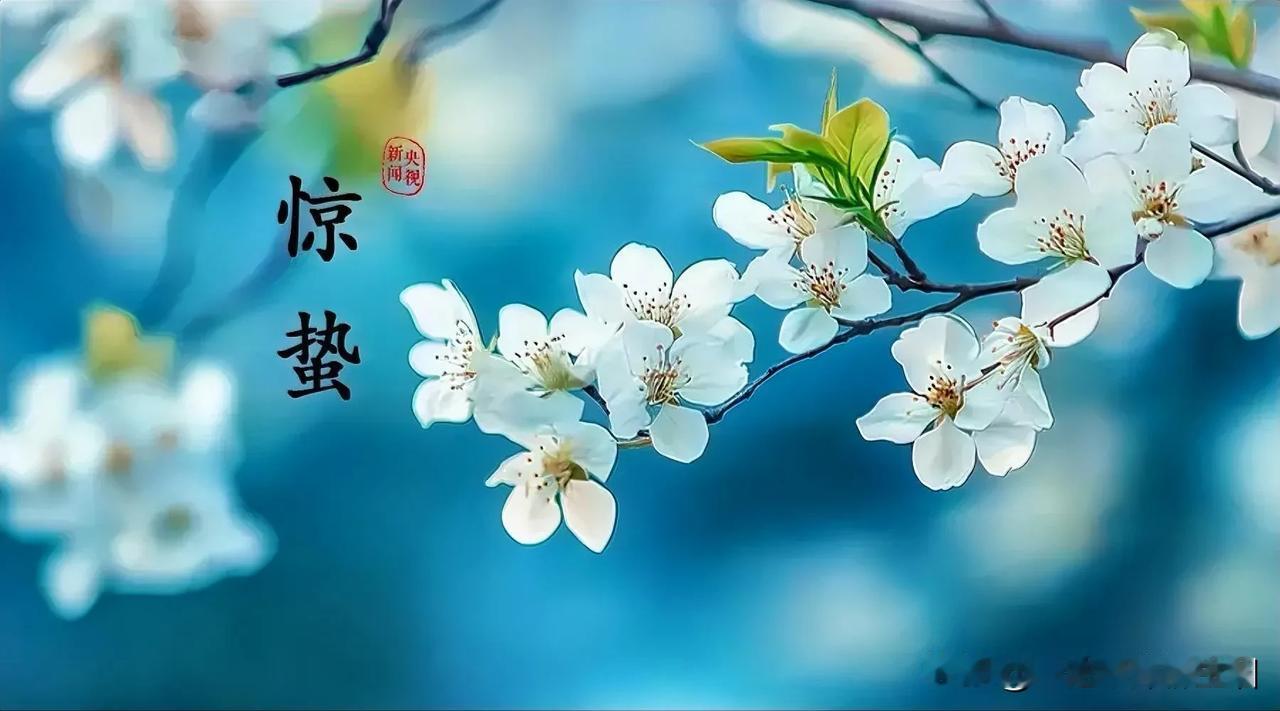 今天惊蛰，最真挚的祝福送给您。

春雷乍动，蛰虫初醒，
气温回暖，阳气上升，
雨