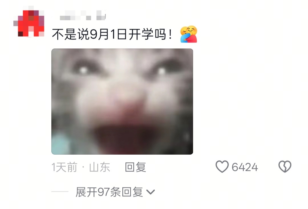 大傻春 老师我比放假前更傻了，你还想见我吗？ 