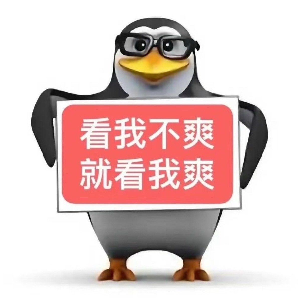 看我不爽就看我爽喽