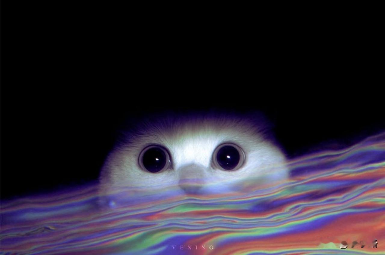 刚才又看到两位小说作者停更了。其中一位的缘由，我很赞同。

他说，这边的平台，不