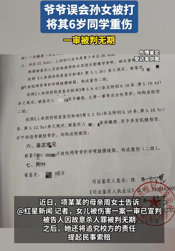 遭同学爷爷重伤6岁男孩母亲发声，被告人因故意杀人罪被判无期，还将追究校方的责任，