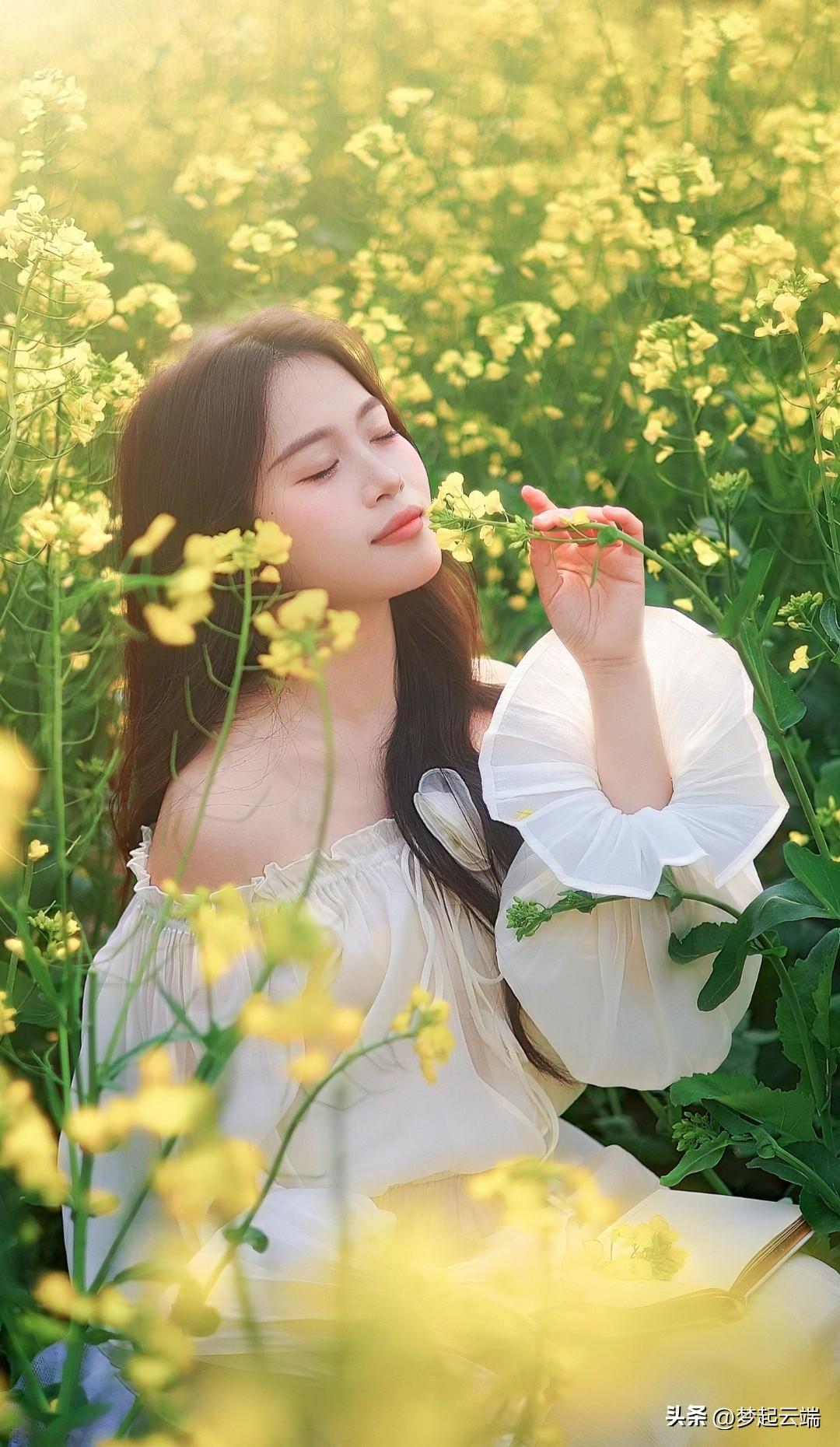 在花海中沉醉，感受自然的美好与宁静。