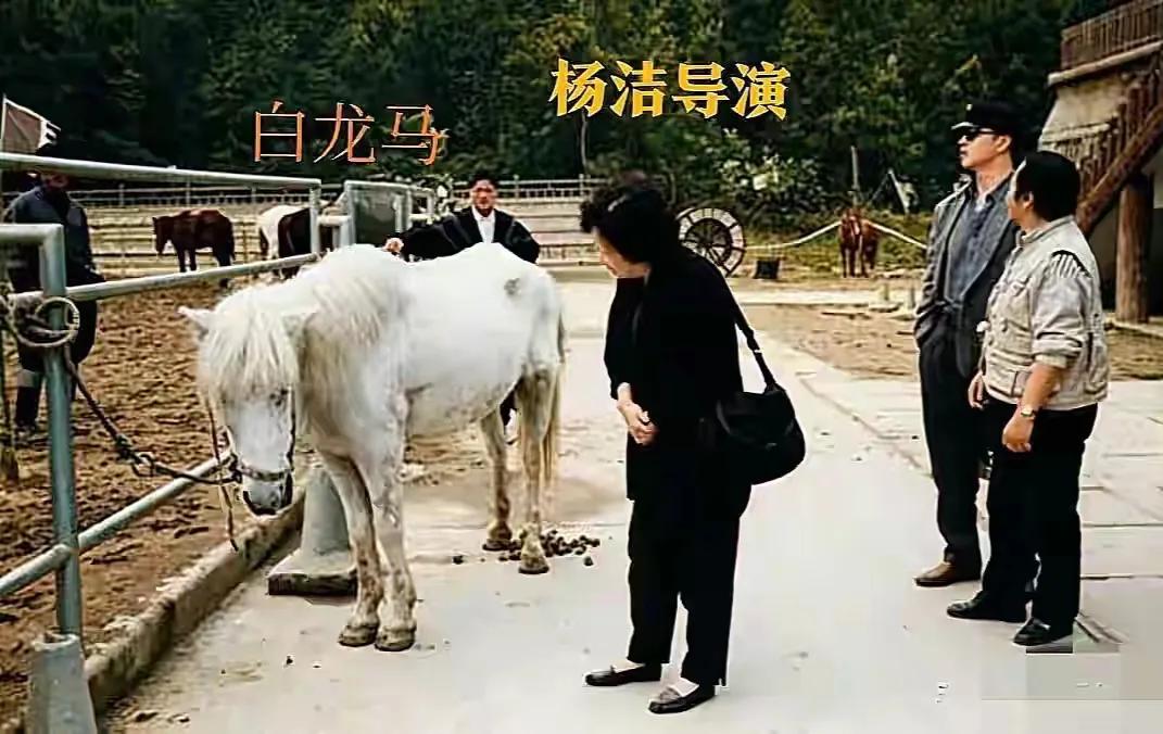 提起 86 版《西游记》，几代人的童年记忆里，都刻着师徒四人西天取经的身影。可很