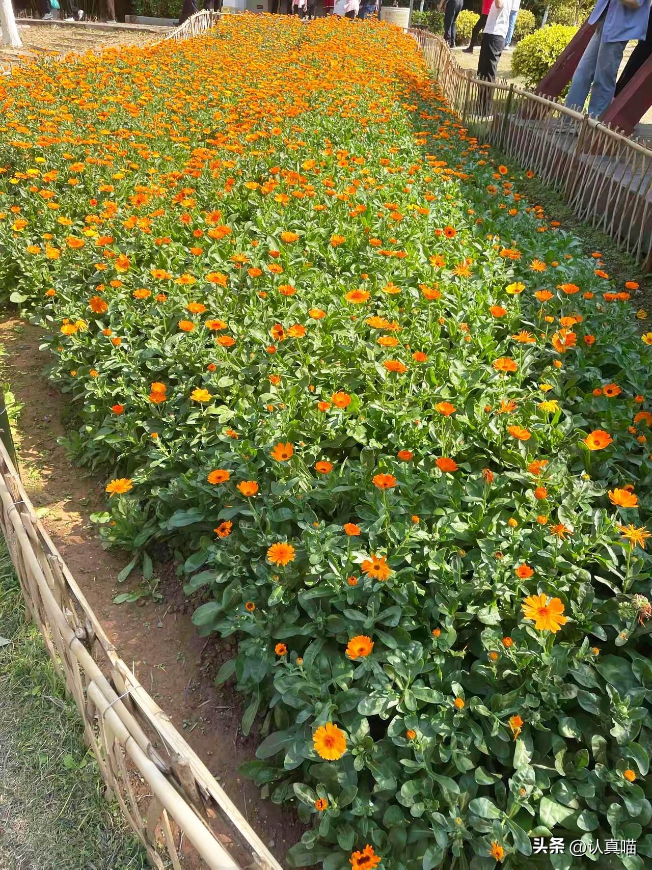 大家有没有发现，广东这两年的天气真的越来越反常了！

往年这个时候，回南天早就把