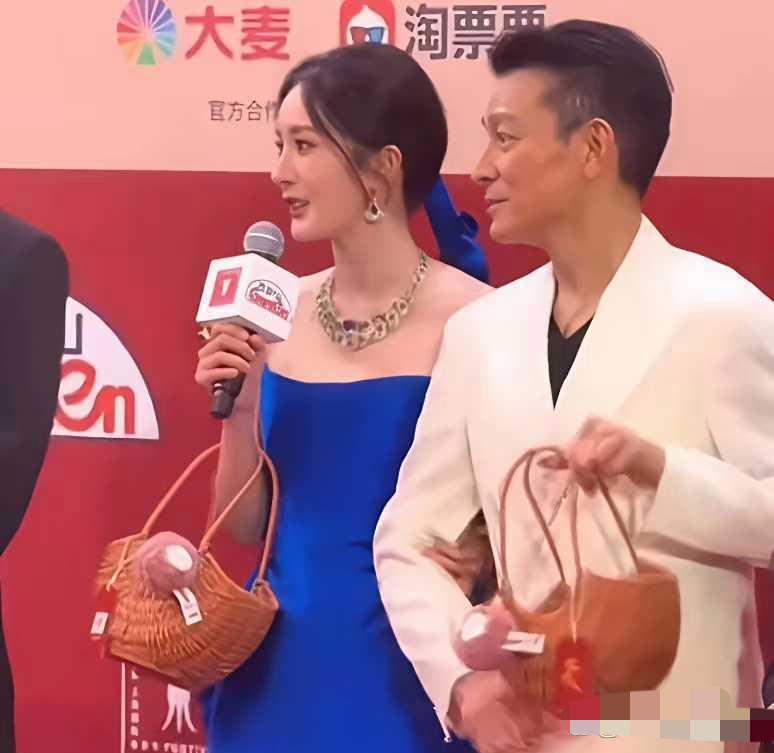 贾玲要妒忌杨幂了，杨幂竟然能挽着刘德华一起走红毯啊！刘德华真的很绅士，杨幂也是有