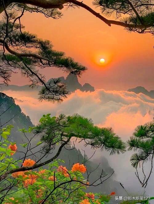 头条邀对
上联，半盏清茶听夜雨，诚邀下联
上联:半盏清茶听夜雨(头条)
下联:一