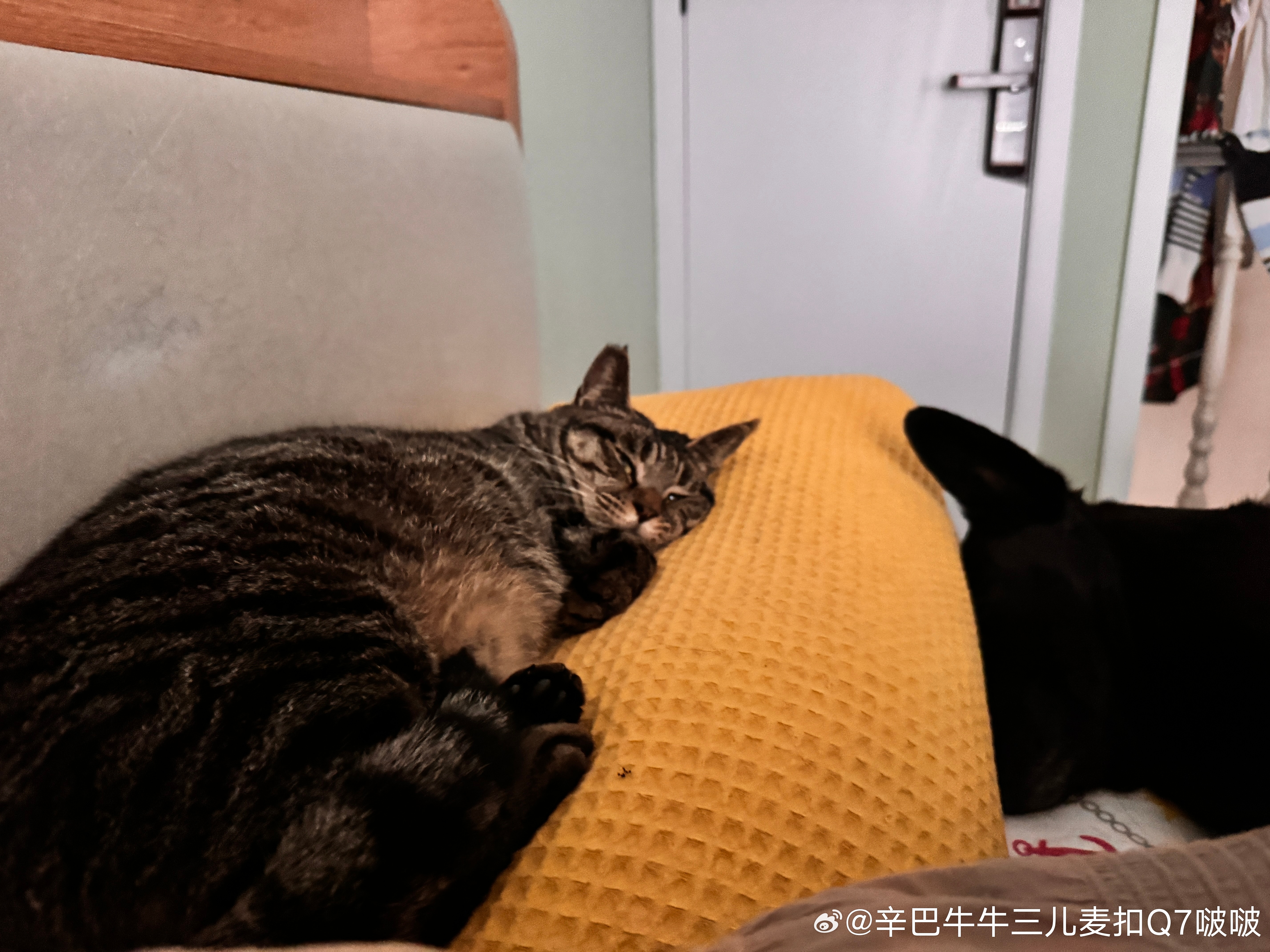 这样的日子，怎么会不爱。 